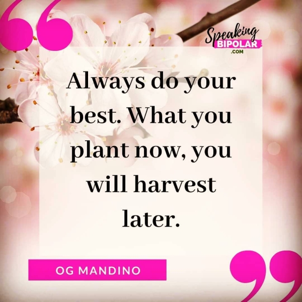 Always do-your _best. What you plant now, you will harvest later. OG MANDINO 4 _,