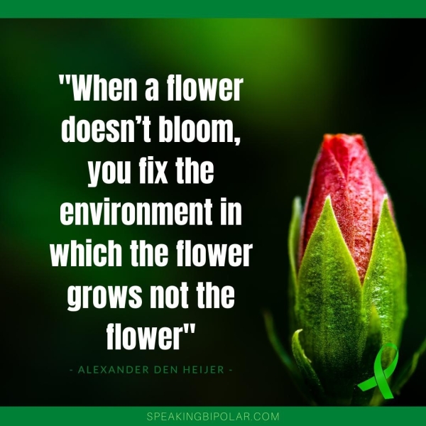 mT doesn't bloom, you fix the Oa aN UE UTA aU 3 re | SPEAKINGBIPOLAR.COM