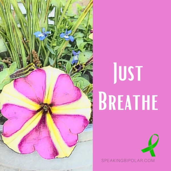 SPEAKINGBIPOLAR.COM