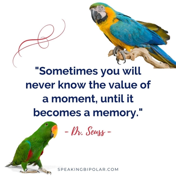 “Sometimes you will never know the value of a moment, until it becomes a memory." - Dv, Sousy - SPEAKINGBIPOLAR.COM