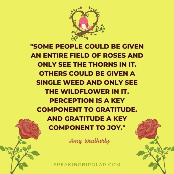 ONLY SEE THE THORNS IN IT. OTHERS COULD BE GIVEN A SINGLE WEED AND ONLY SEE THE WILDFLOWER IN IT. PERCEPTION IS A KEY COMPONENT TO GRATITUDE. AND GRATITUDE A KEY COMPONENT TO JOY." - Amy Weatheuy - SPEAKINGBIPOLAR.COM