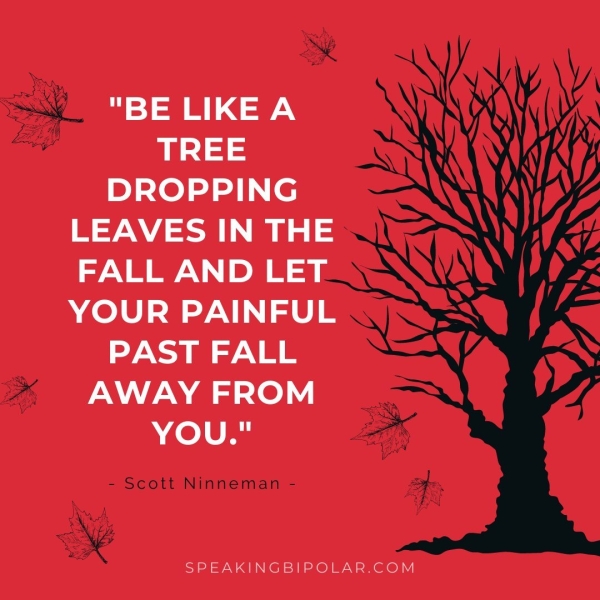 am "BE LIKEA ad ays) 3 DROPPING BW FALL AND LET YOUR PAINFUL | Ne AWAY FROM YOU." - Scott Ninneman - NES y SPEAKINGBIPOLAR.COM
