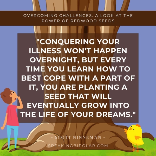 OVERCOMING CHALLENGES: A LOOK AT THE POWER OF REDVWOOD SEEDS “CONQUERING YOUR ILLNESS WON’T HAPPEN OVERNIGHT, BUT EVERY TIME YOU LEARN HOW TO BEST COPE WITH A PART OF IT, YOU ARE PLANTING A SEED THAT WILL EVENTUALLY GROW INTO THE LIFE OF YOUR DREAMS." 7 b SOTT NINNEMAN - AKINGBIPOLAR.COM