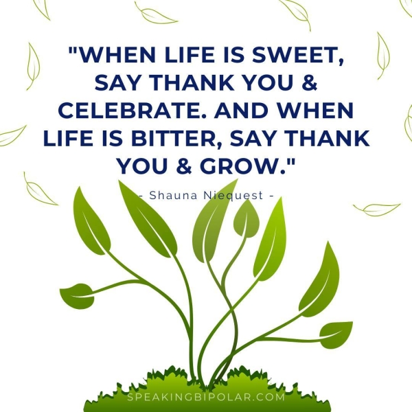 \ —s NX \ ) "WHEN LIFE IS SWEET, ) SAY THANK YOU & CELEBRATE. AND WHEN \ LIFE IS BITTER, SAY THANK