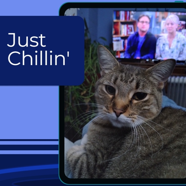 Just Chillin' i i oe 7 a a *“~e ie >. oe =