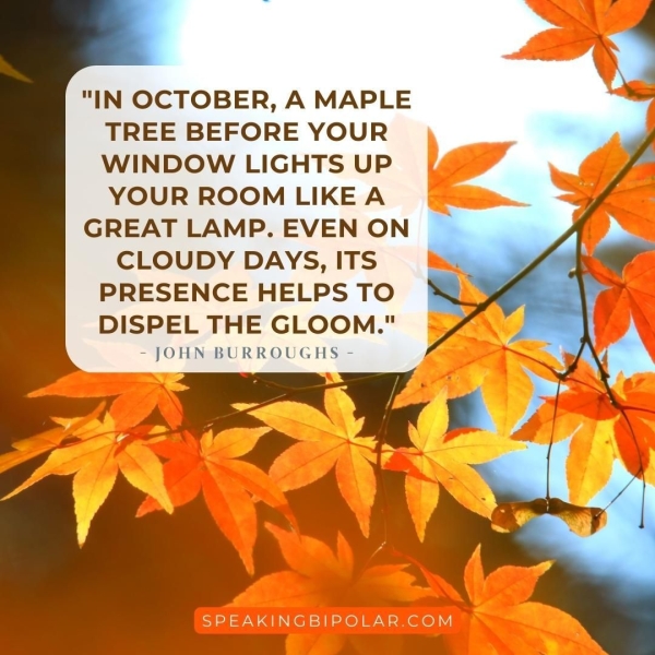 "IN OCTOBER, A MAPLE TREE BEFORE YOUR WINDOW LIGHTS UP YOUR ROOM LIKE A GREAT LAMP. EVEN ON CLOUDY DAYS, ITS PRESENCE HELPS TO DISPEL THE GLOOM." - JOHN BURROUGHS -