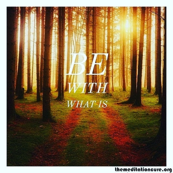 Uae bcU bliss themeditationcure.org