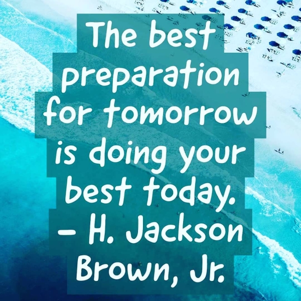 sk p “ Ben os ecg ° ERR ES = ip ite » Brown, Ale