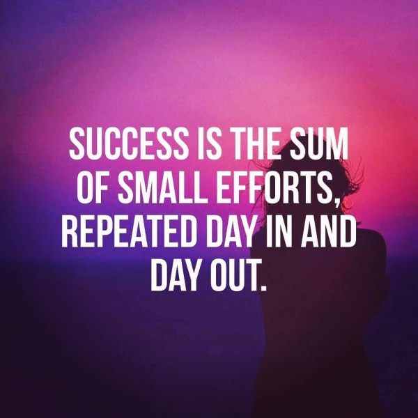 SUCCESS IS THE SUM OF SMALL EFFORTS, age a ae WN LU